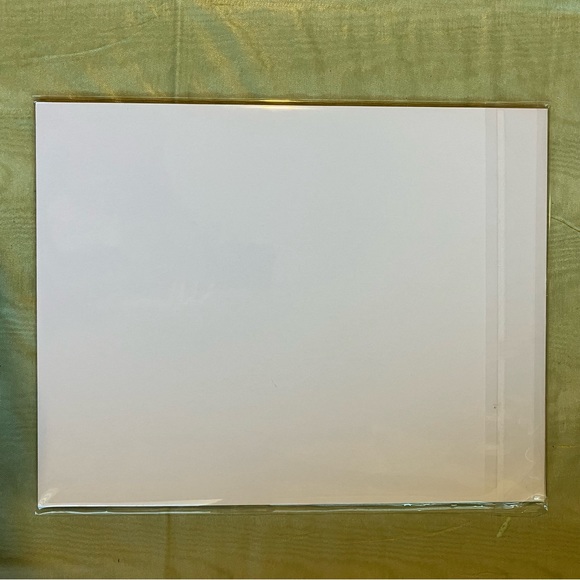 Watercolor Bird Wall Art Hummingbirds Painting Framed in Acid Free Art Kit - Picture 4 of 4